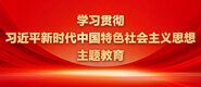 男人狂艹女人的骚逼网站学习贯彻习近平新时代中国特色社会主义思想主题教育_fororder_ad-371X160(2)